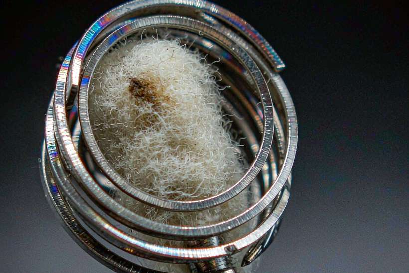 Buyer's Guide to vape in Jeonju Tanba — Asia Pacific
