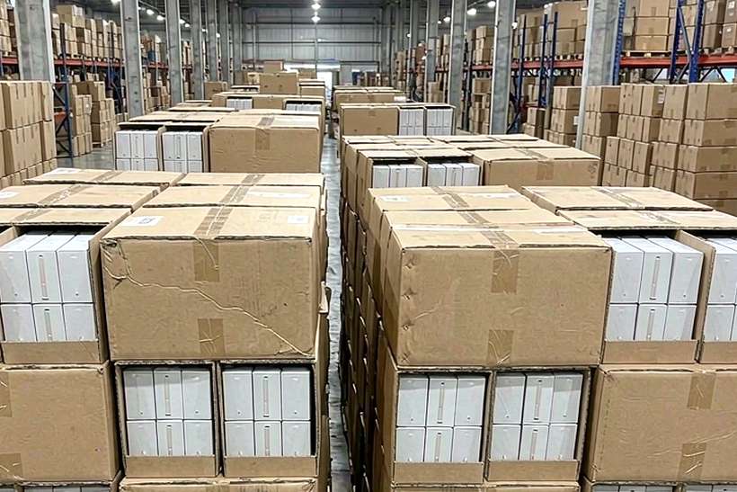 Case Study: vape disposables — bulk case