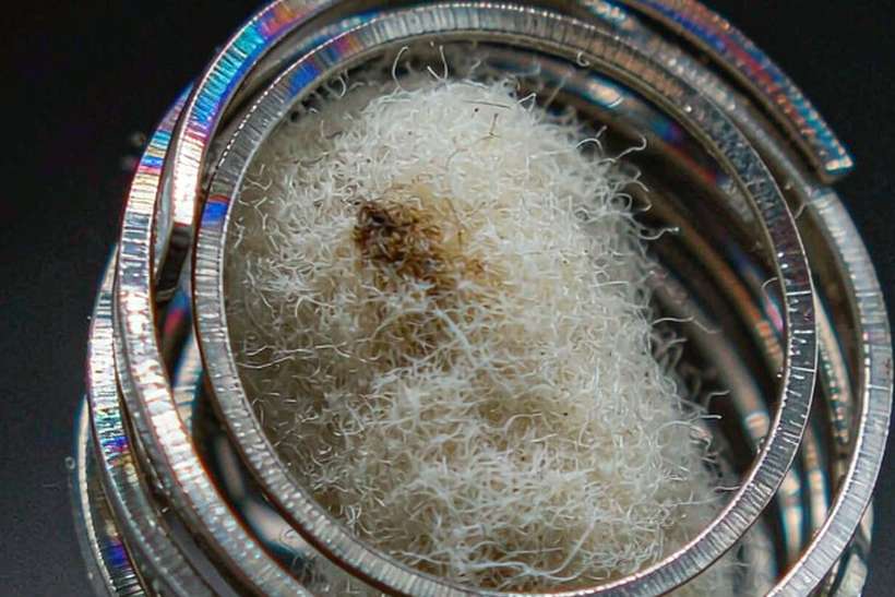 Case Study: vape e-liquid — limited batch