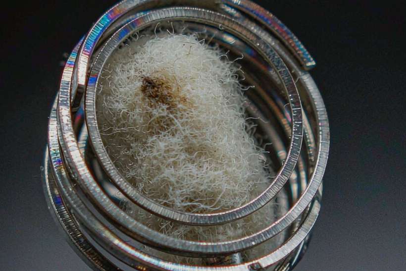 Comparison of vape coils Suppliers — OEM available