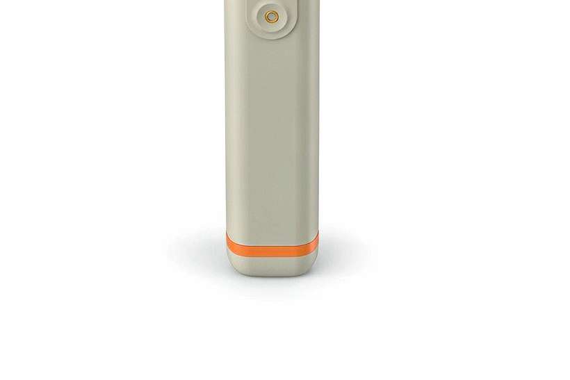 Flavor Catalog of Jeonju Tanba vape — limited batch
