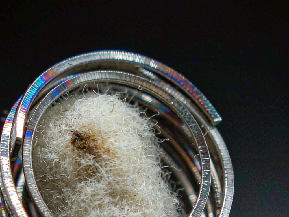Flavor Catalog of vape bundles — premium tier