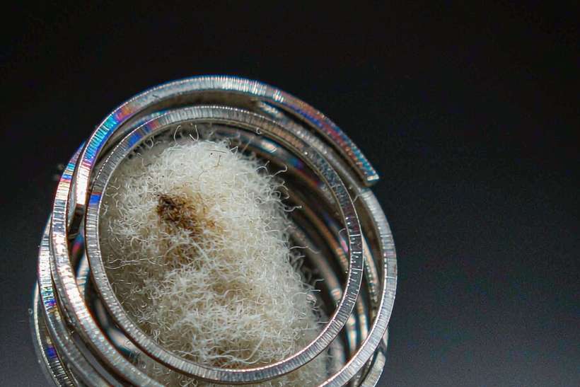 Glossary of vape mods — container load