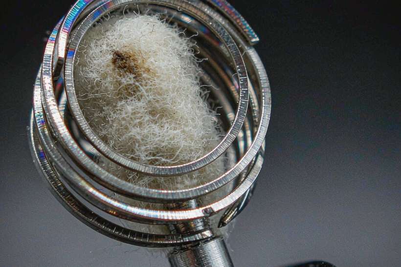 Glossary of vape products in Jeonju Tanba — ODM ready