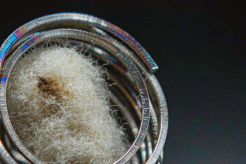 Import Guide for vape hardware — Autumn stock