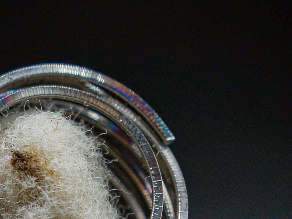 Launch Plan for vape disposables — verified suppliers