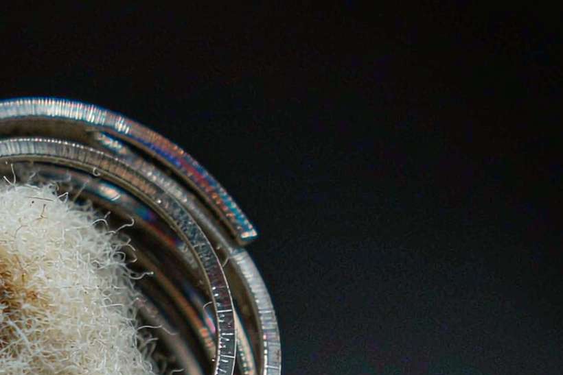 Launch Plan for vape in Jeonju Tanba — ODM ready