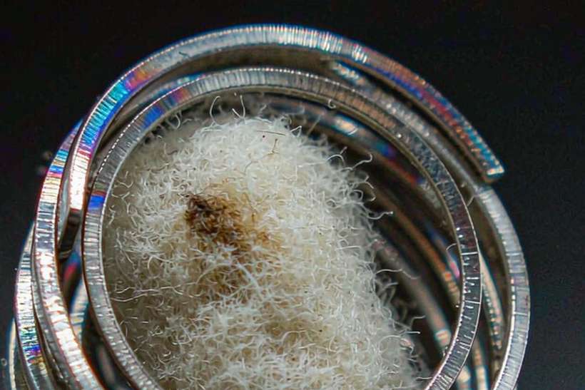 Margins on vape coils — Spring catalog