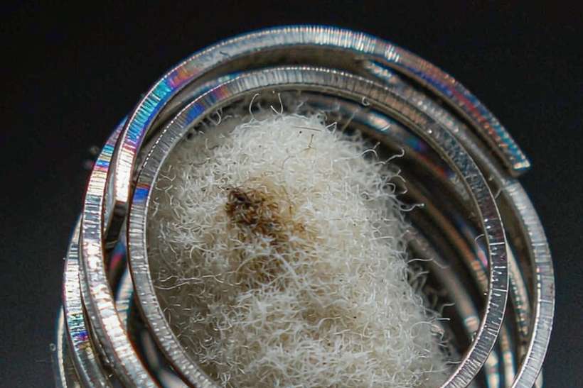 Margins on vape mods — container load