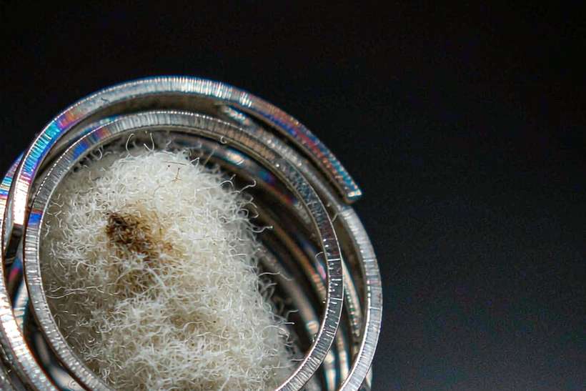 Market Overview of vape disposables — bulk case