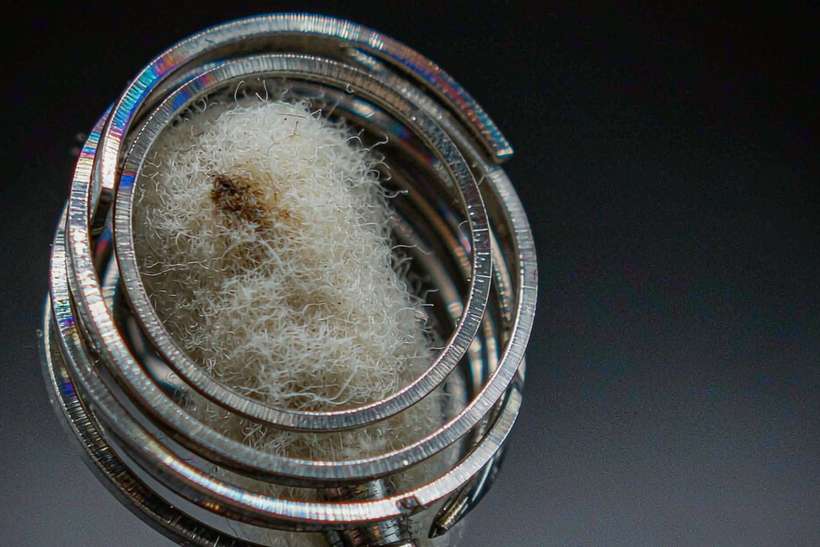 Market Overview of vape disposables — OEM available