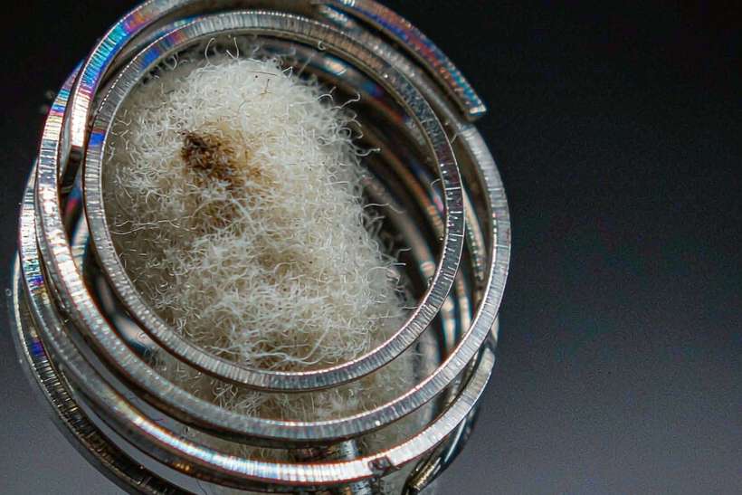 OEM and ODM Options for vape coils — Autumn stock
