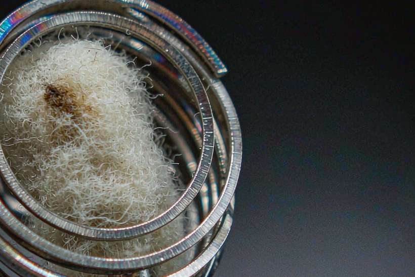 OEM and ODM Options for vape coils — container load