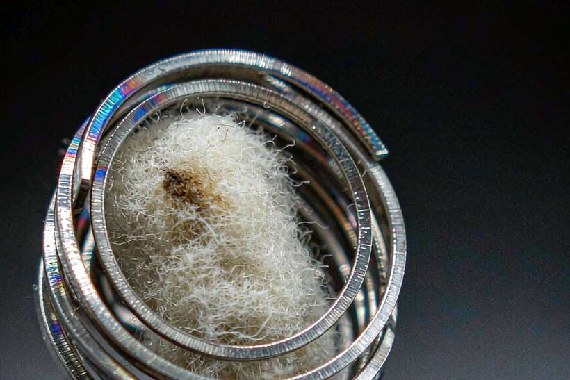 OEM and ODM Options for vape disposables — Middle East