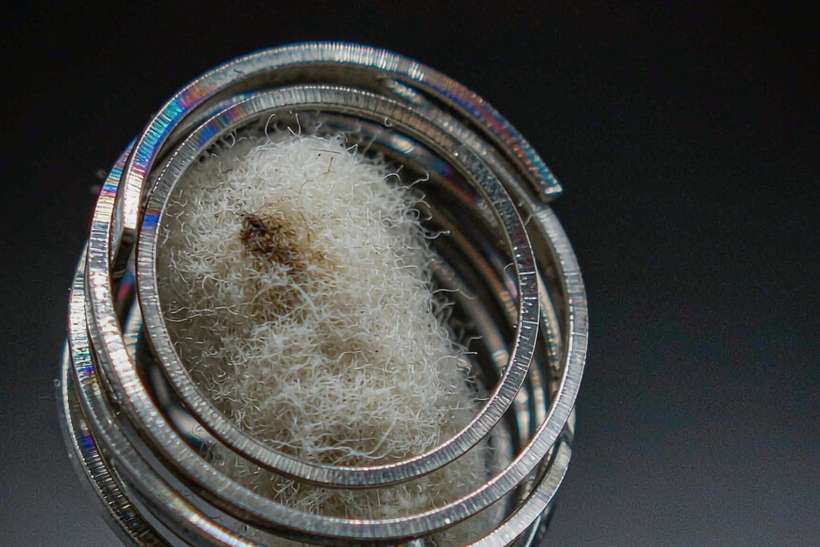 OEM and ODM Options for vape disposables — Winter special