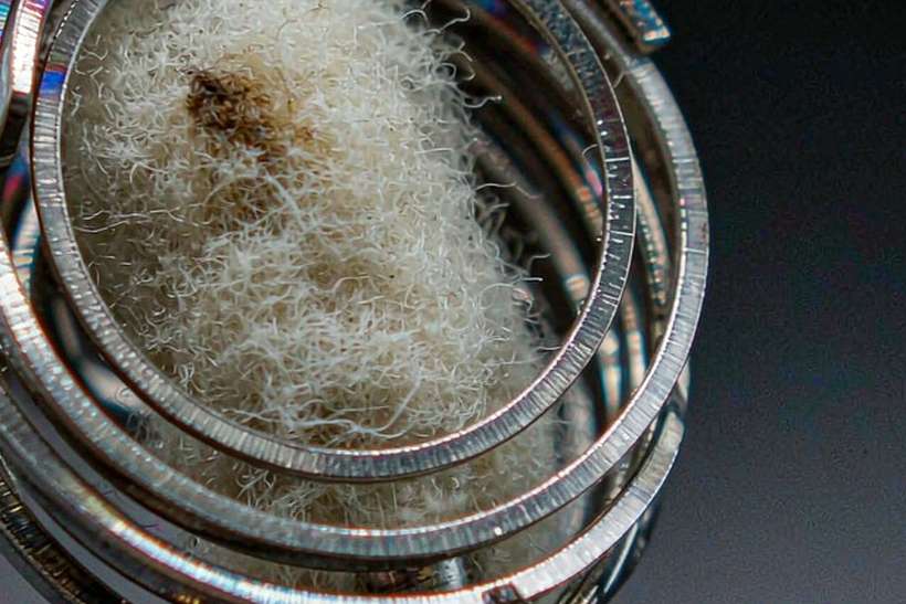 OEM and ODM Options for vape hardware — Autumn stock