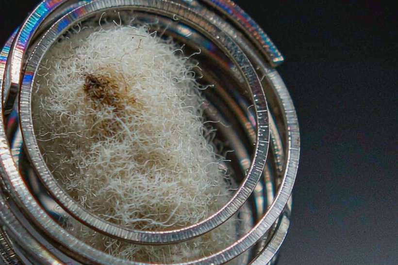 Regional Review of vape bundles — limited batch