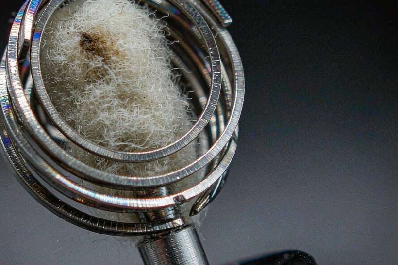 Regional Review of vape bundles — Spring catalog