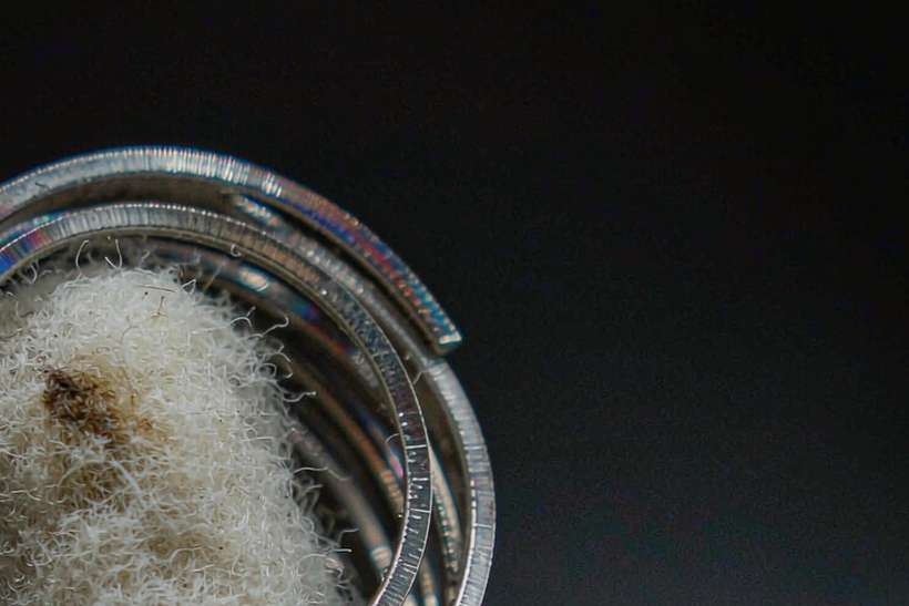 Regional Review of vape coils — US warehouse