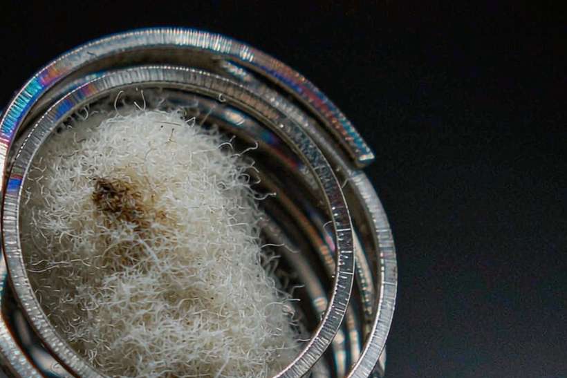Regional Review of vape hardware — Spring catalog