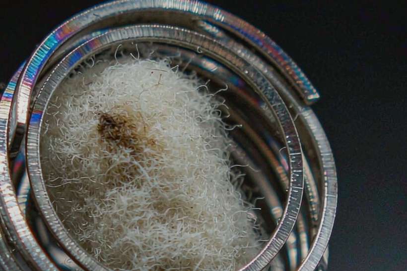 Starter Kit Guide for vape disposables — container load