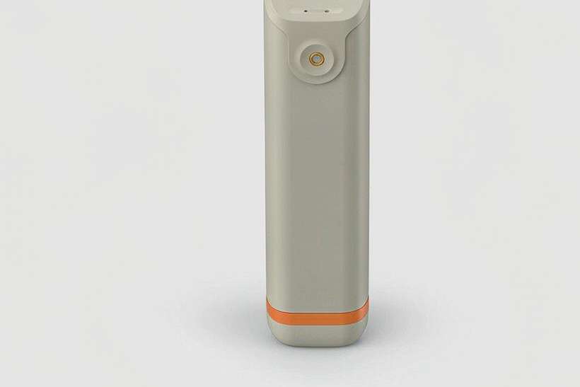 Trend Report on Jeonju Tanba vape — container load