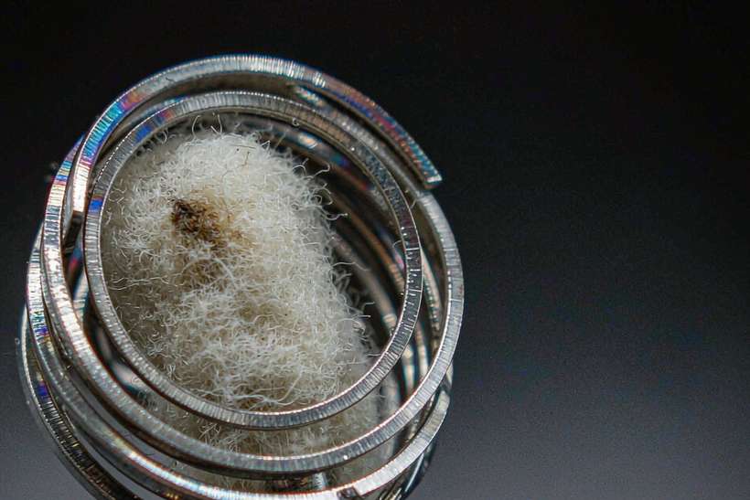 Trend Report on vape pods — ODM ready
