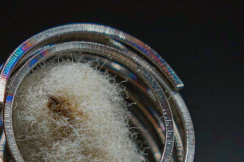 Warranty Notes for vape coils — container load