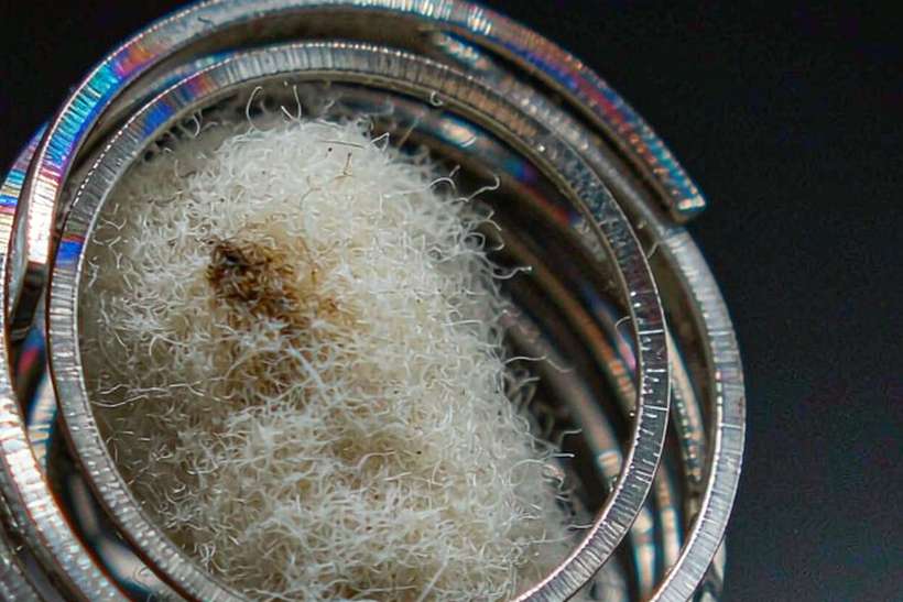 Warranty Notes for vape coils — OEM available
